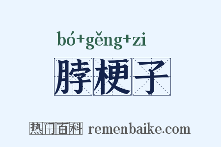 脖梗子是什么意思的图片
